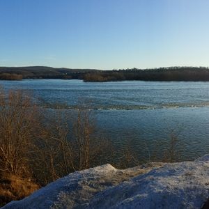 Meet your Posher, Donovan